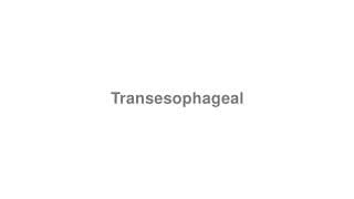Transesophageal