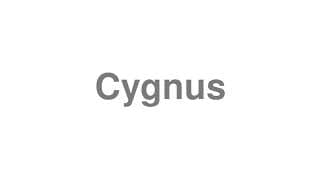 Cygnus