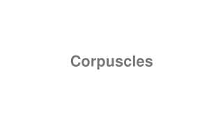 Corpuscles