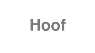 Hoof