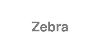 Zebra