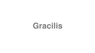 Gracilis