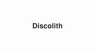Discolith