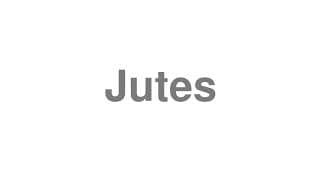 Jutes