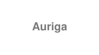 Auriga