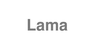 Lama
