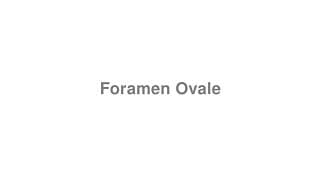 Foramen Ovale