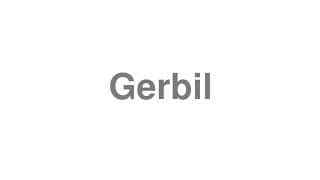 Gerbil