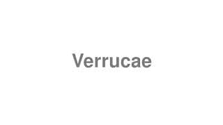 Verrucae