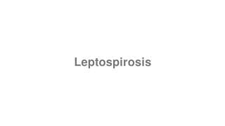 Leptospirosis