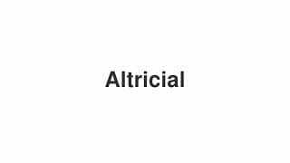 Altricial