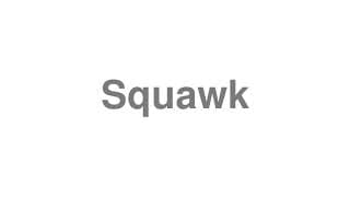 Squawk