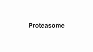 Proteasome
