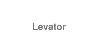 Levator