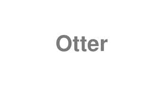 Otter