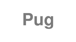 Pug