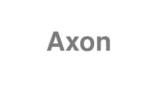 Axon