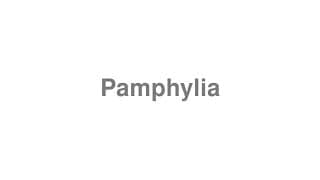 Pamphylia