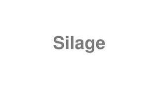 Silage