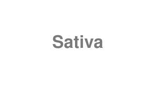 Sativa