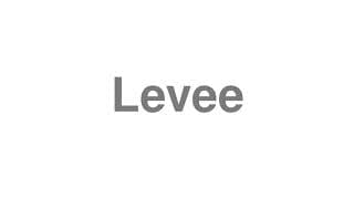 Levee