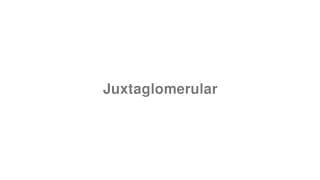 Juxtaglomerular