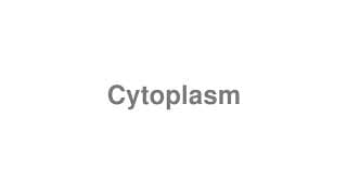 Cytoplasm