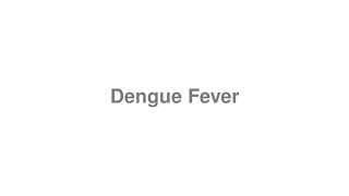 Dengue Fever
