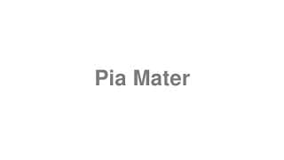 Pia Mater