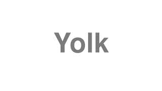 Yolk