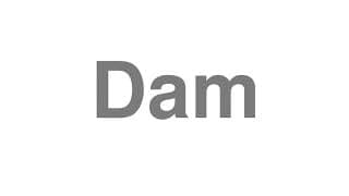 Dam