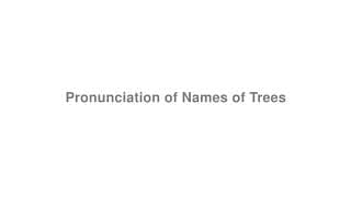 Pronunciation of Names of Trees