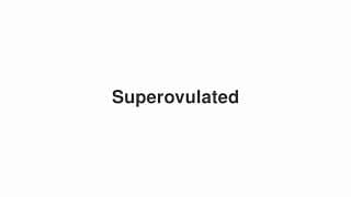 Superovulated