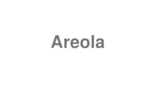 Areola