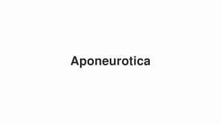 Aponeurotica