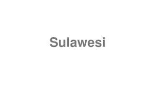 Sulawesi