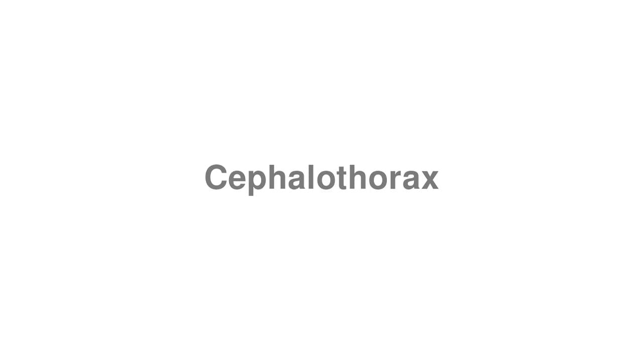 How to Pronounce Cephalothorax