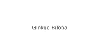 Ginkgo Biloba