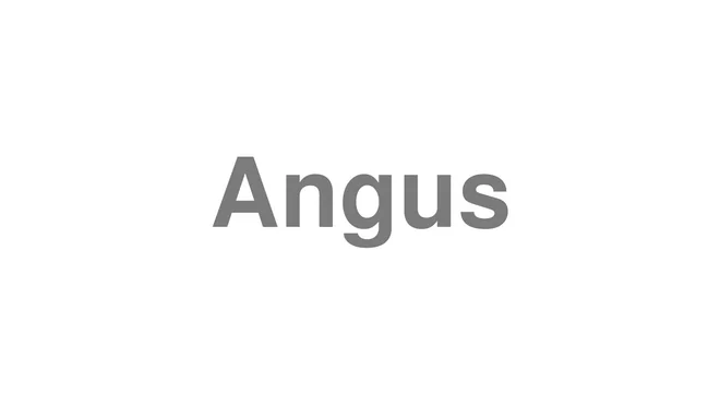 Angus