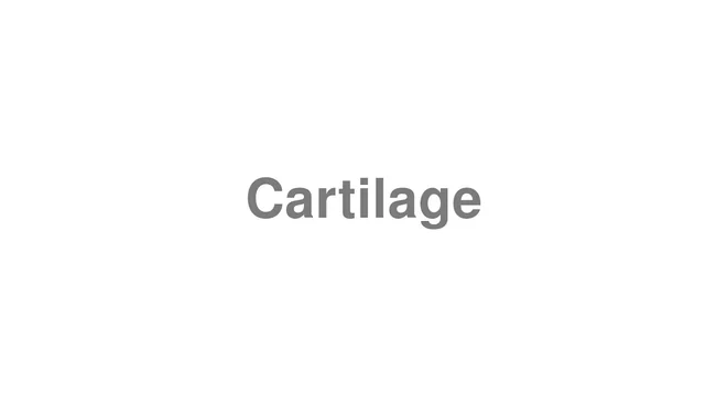 Cartilage