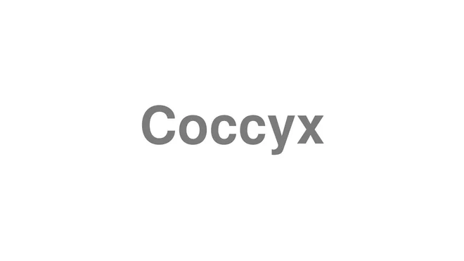 Coccyx