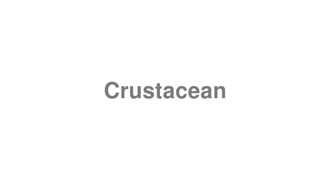 Crustacean