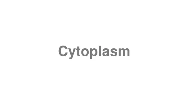 Cytoplasm