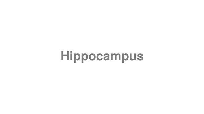 Hippocampus