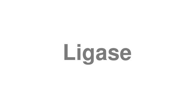 Ligase