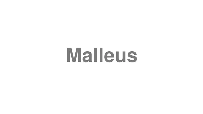 Malleus