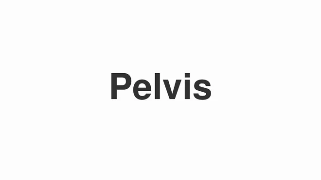 Pelvis
