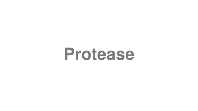 Protease