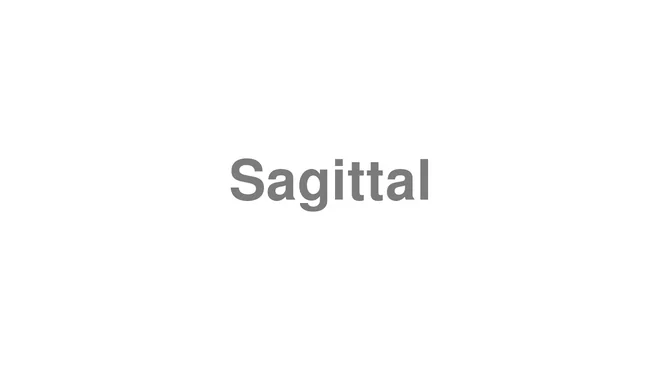 Sagittal