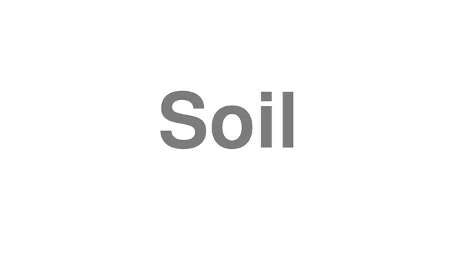 Soil